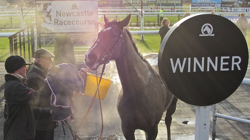 Winning Horse at Newcastle